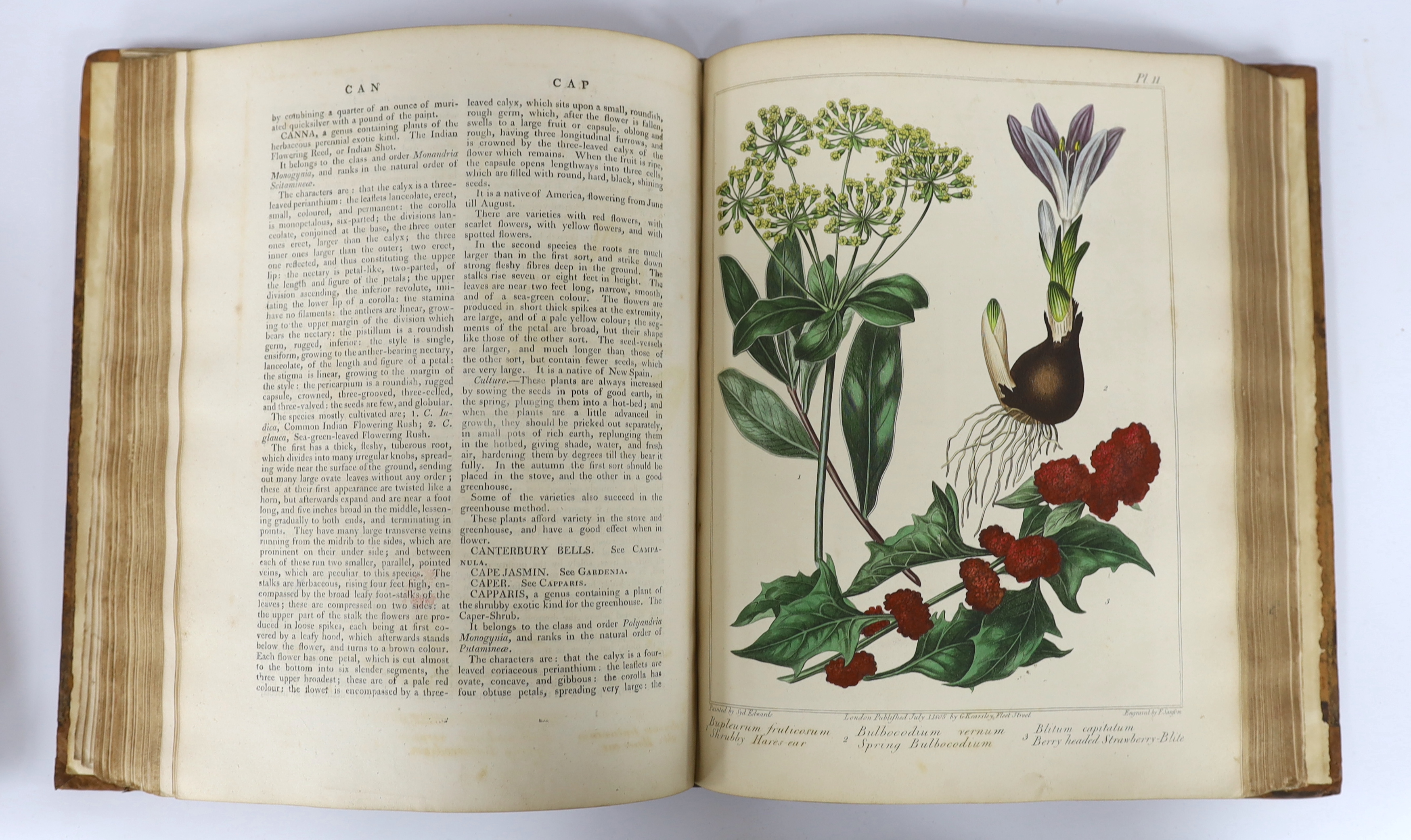 Dickson, Richard Watson (‘’McDonald, Alexander’’) - A Complete Dictionary of Practical Gardening: comprehending all the Modern Improvements in Art, 2 vols, 4to, calf, with 60 hand-coloured engraved plates, by F. Sansom,